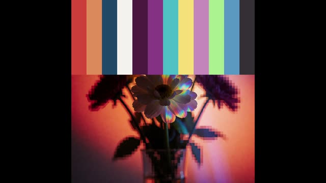 Extract Color Palette